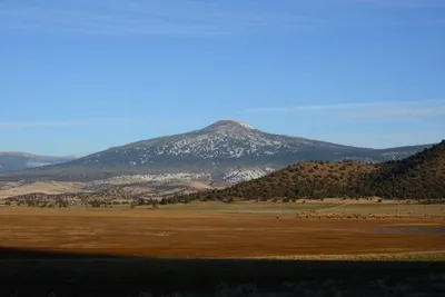 DSC_3045 (Large).JPG